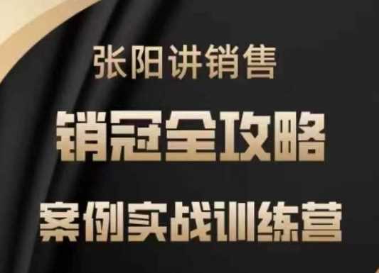 张阳讲销售实战训练营，​案例实战训练，销冠全攻略