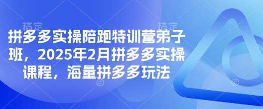 拼多多实操陪跑特训营弟子班，2025年2月拼多多实操课程，海量拼多多玩法