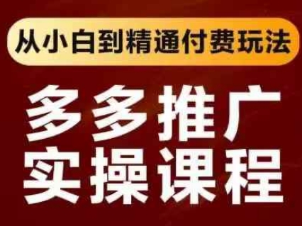 拼多多推广实操课程，从小白到精通付费玩法-点格网络